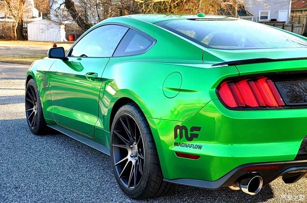 福特(進(jìn)口) 野馬 2015款 5.0L GT 性能版