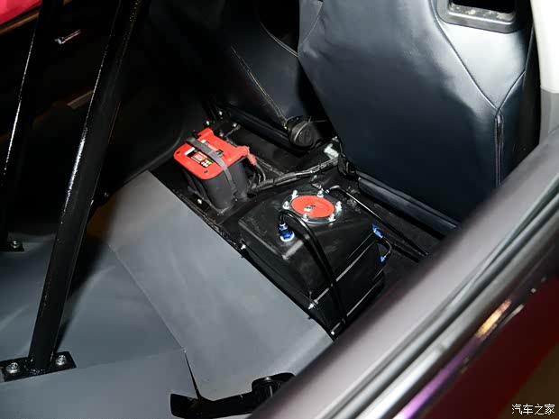 豐田(進(jìn)口) 普銳斯(海外) 2015款 C