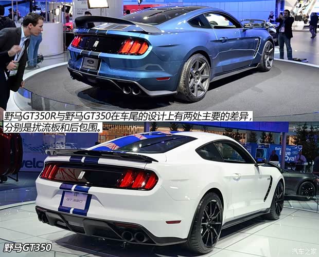 福特(進口) 野馬 2016款 Shelby GT350R