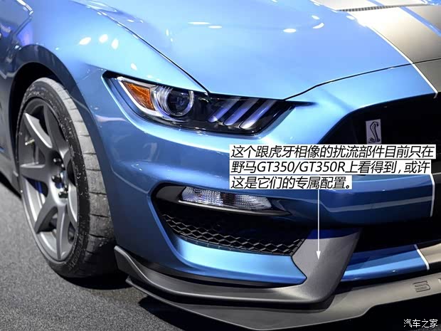 福特(進口) 野馬 2016款 Shelby GT350R