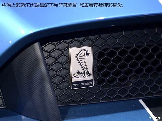 福特(進口) 野馬 2016款 Shelby GT350R