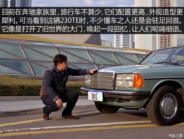 奔馳(進(jìn)口) 奔馳E級(jí)(進(jìn)口) 1980款 230TE