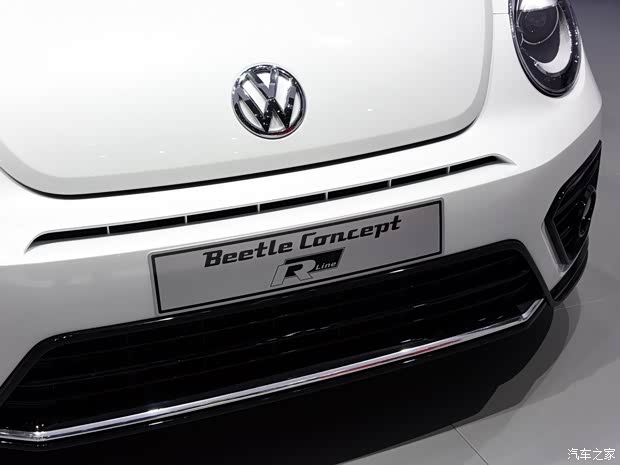 大眾(進口) 甲殼蟲 2015款 R-line