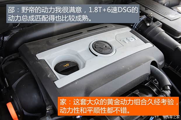 上海大众斯柯达 野帝 2014款 1.8TSI DSG极地版