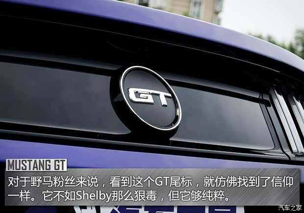 福特(進(jìn)口) 野馬 2015款 5.0L GT 性能版