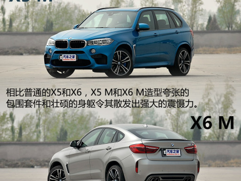 2015 X6 M