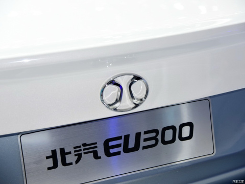 2015 EU300