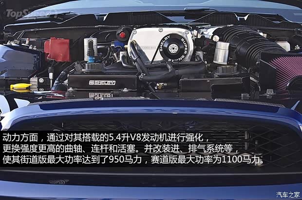 福特福特(進口)野馬2013款 GT350 Shelby