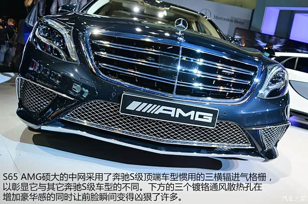 奔馳奔馳AMG奔馳S級(jí)AMG2014款 S65 AMG