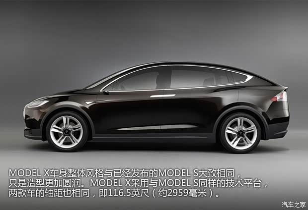 TESLATESLAMODEL X2012款 基本型