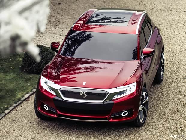 DSѩ()DS Wild Rubis2014 Concept