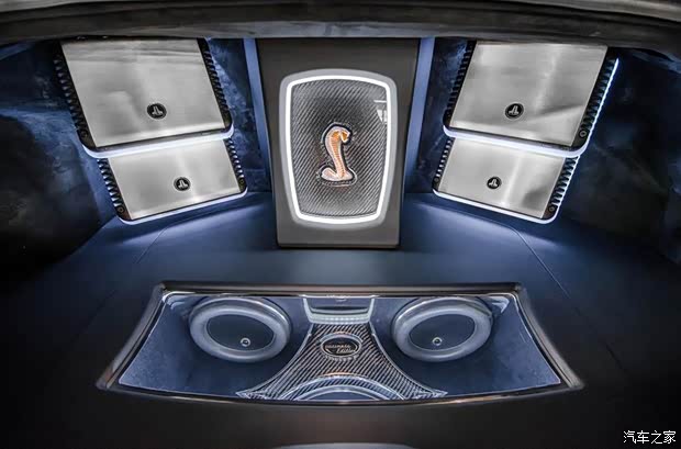 福特福特(進(jìn)口)野馬2013款 GT500 Super Snake