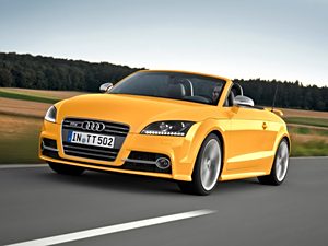 WϊW(M)WTTS2013 TTS Roadster 2.0TFSI quattro competition