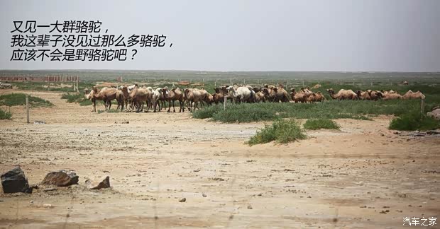 JeepJeep牧马人2013款 3.6L 四门版 Rubicon