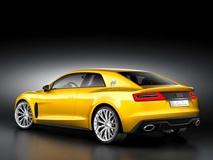 WϊW(M(jn))quattro2013 Sport Concept