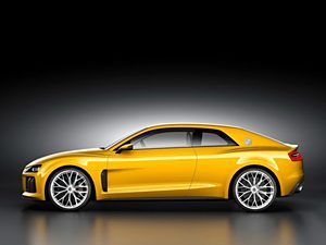 WϊW(M(jn))quattro2013 Sport Concept