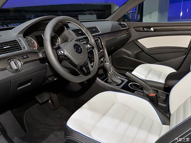 大众大众(进口)Passat2014款 BlueMotion