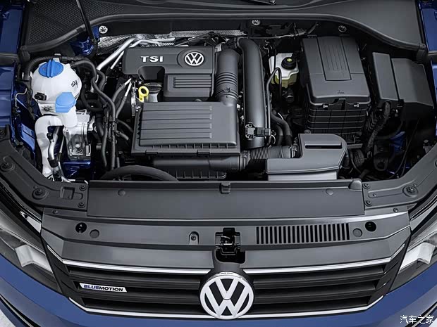 大眾大眾(進口)Passat2014款 BlueMotion