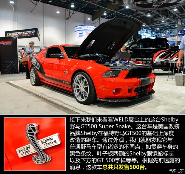 福特(进口) 野马 2013款 GT500