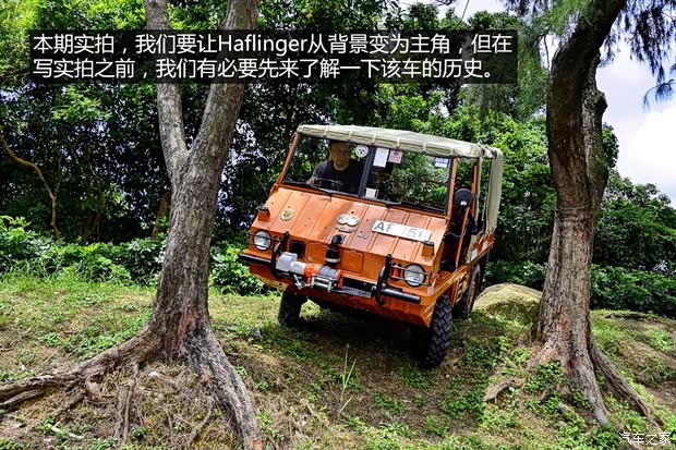 斯太爾 Haflinger 1974款 基本型