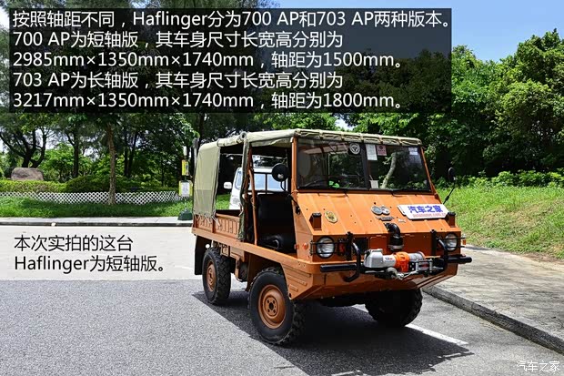 斯太尔 Haflinger 1974款 基本型 斯太尔 Haflinger 1974款 基本型