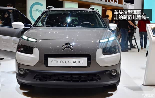 雪鐵龍雪鐵龍(進(jìn)口)Cactus2014款 基本型