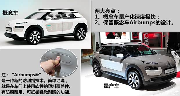 雪鐵龍雪鐵龍(進(jìn)口)Cactus2014款 基本型