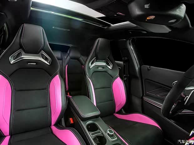 奔馳AMG 奔馳A級AMG 2014款 A45 AMG Erika