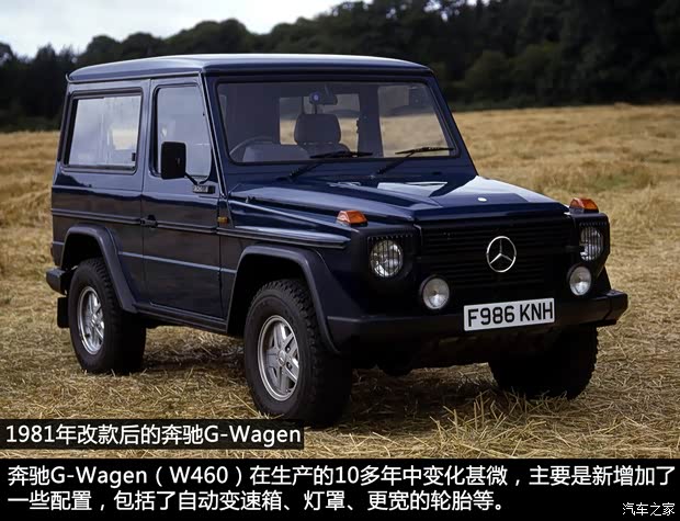 奔驰(进口) 奔驰G级 1979款 以往经典版