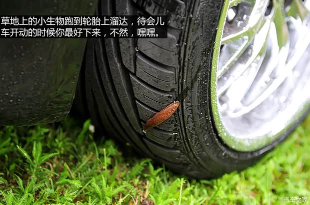 一汽-大众 高尔夫 2004款 1.6 手动舒适型