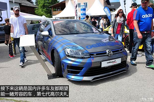 大众(进口) 高尔夫(进口) 2014款 R