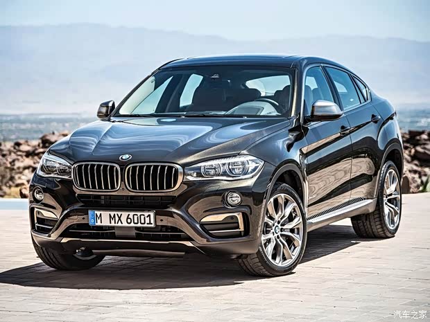 宝马(进口) 宝马X6 2014款 基本型