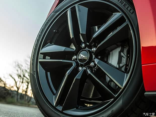 福特(进口) 野马 2015款 5.0L GT 性能版