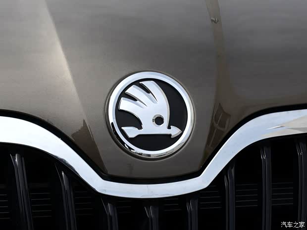 上海大众斯柯达 野帝 2014款 1.4TSI DSG炫彩版