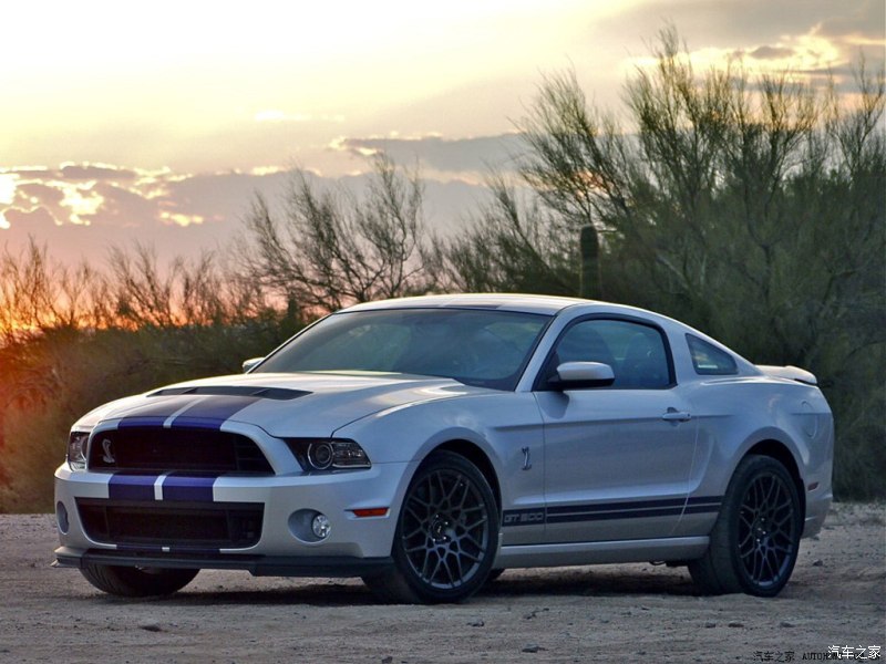 福特(进口) 野马 2013款 gt500