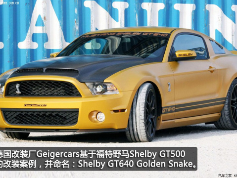 2013 GT500 Shelby Cobra
