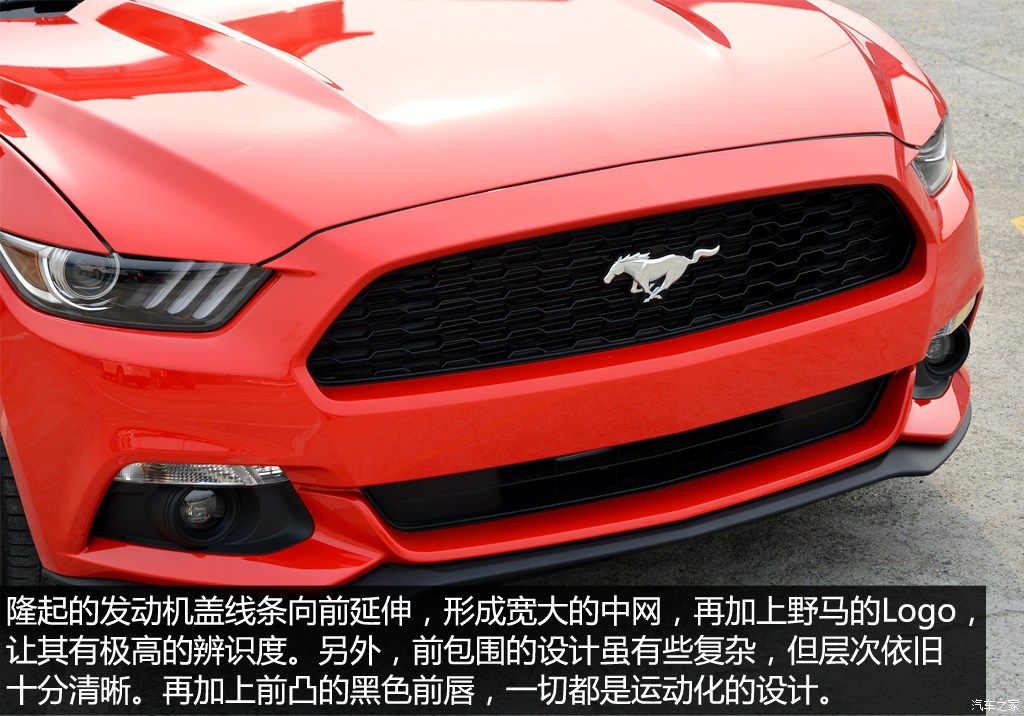 福特(进口) mustang 2015款 2.3t 50周年纪念版