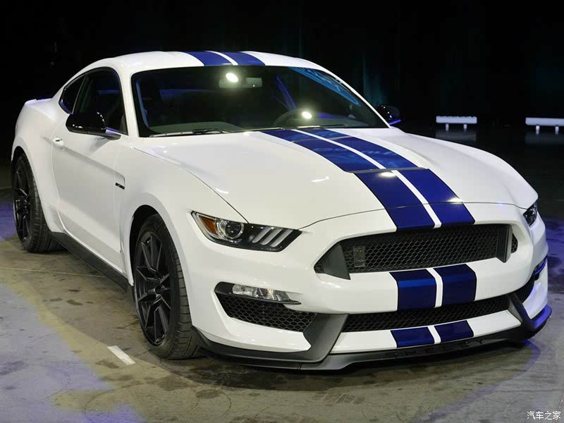 福特(进口 野马 2015款 gt350 shelby