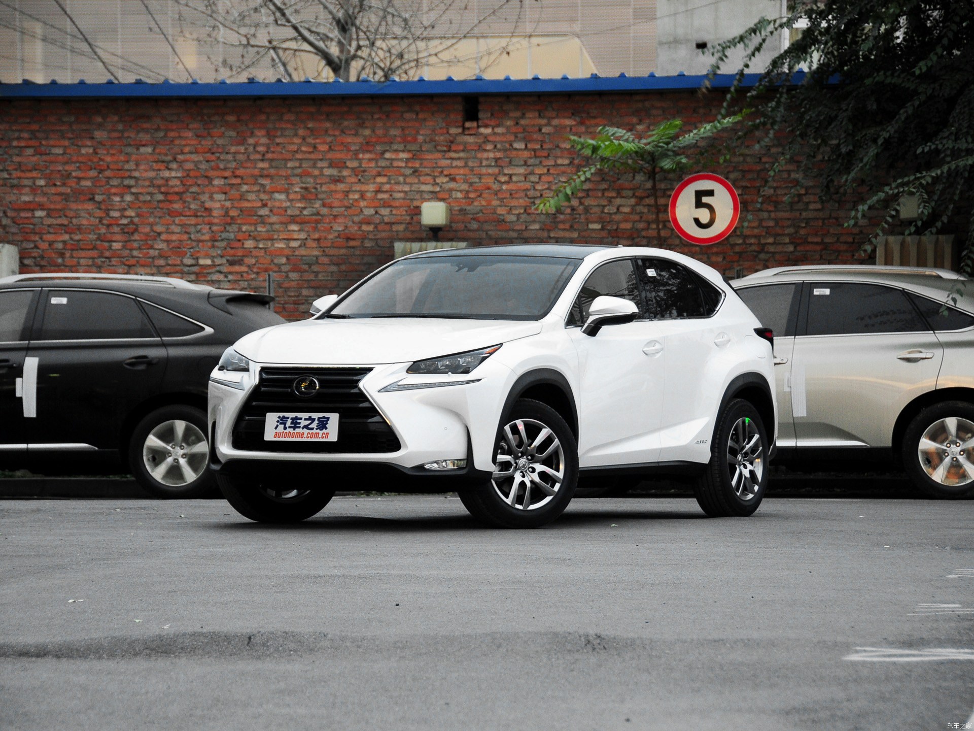 雷克萨斯NX系列2015款 300h 全驱 锋致版