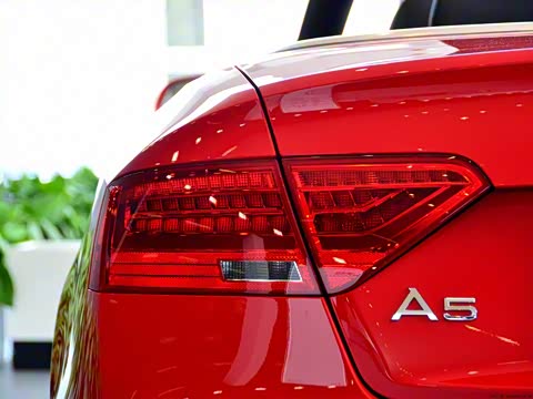 2013款 Cabriolet 40 TFSI quattro 2013款 Cabriolet 40 TFSI quattro