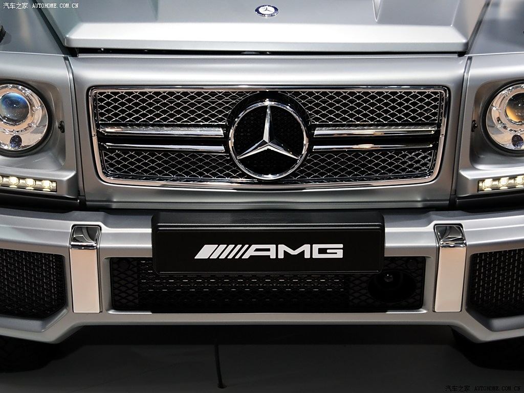 梅赛德斯-amg 奔驰g级amg 2013款 amg g 65