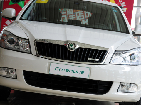 2013 1.4TSI GreenLine2