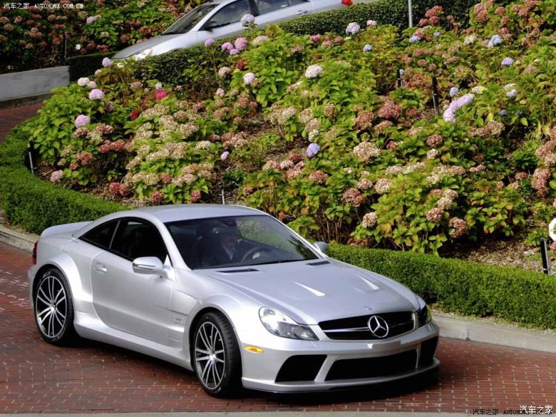 梅赛德斯-amg 奔驰sl级amg 2009款 amg sl 65 black series