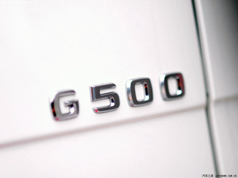 2010 G 500