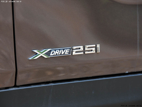2010 xDrive25i