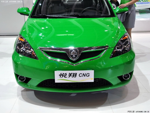 2010 CNG