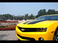 Camaro޻ͼƬ