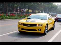 Camaro޻ͼƬ