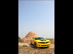 Camaro޻ͼƬ