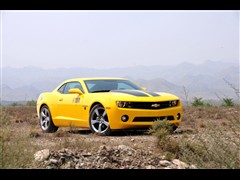 Camaro޻ͼƬ